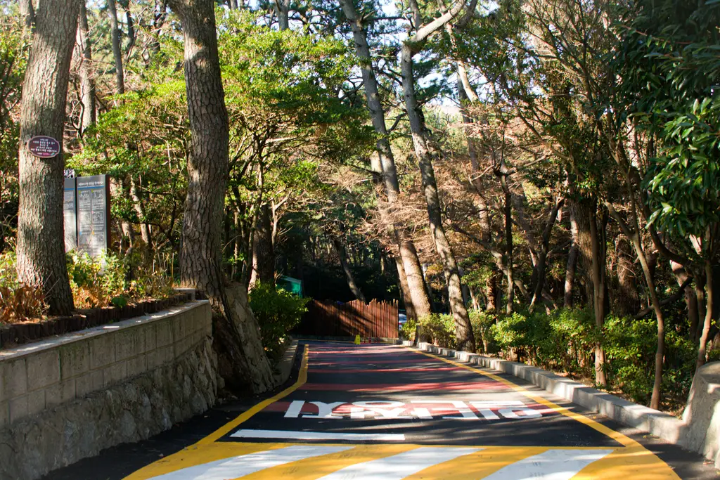 南山公園與首爾塔：首爾必遊景點攻略