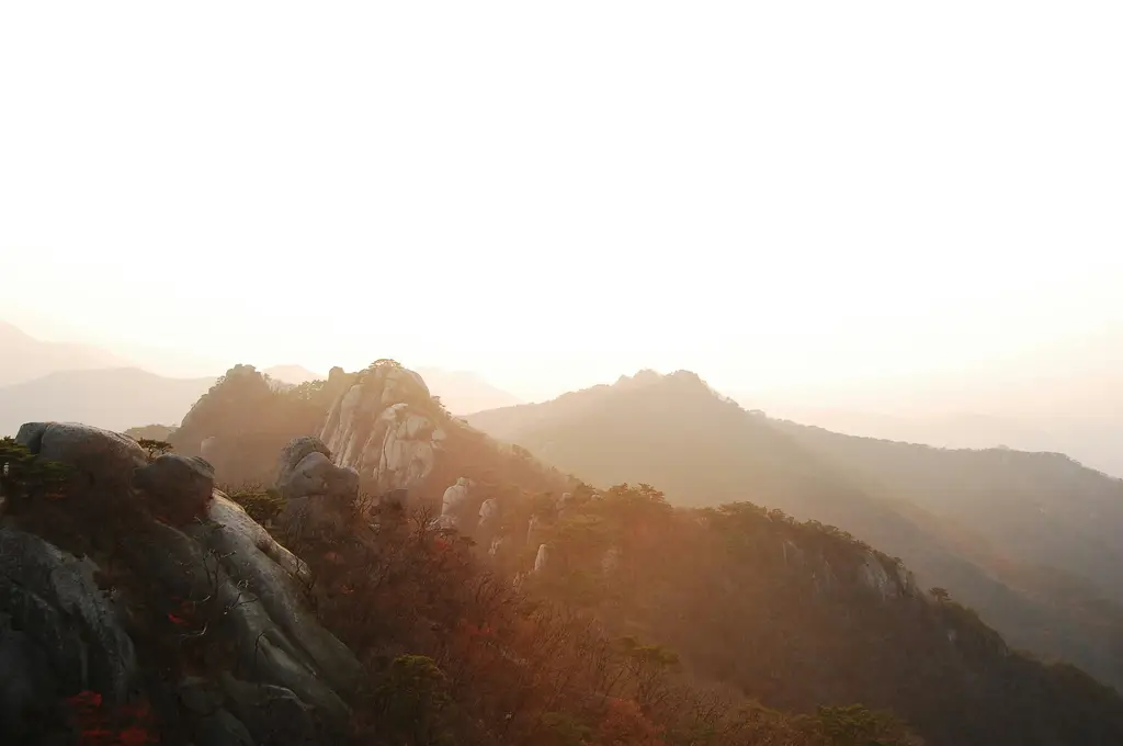 南山首爾塔：台北101的韓國版